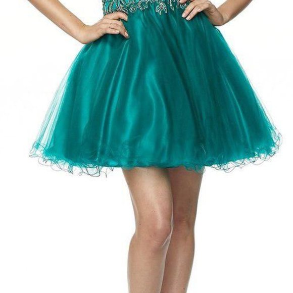 NEW Scoop Neck A-Line Short Prom Dress JT789 - Picture 4 of 5